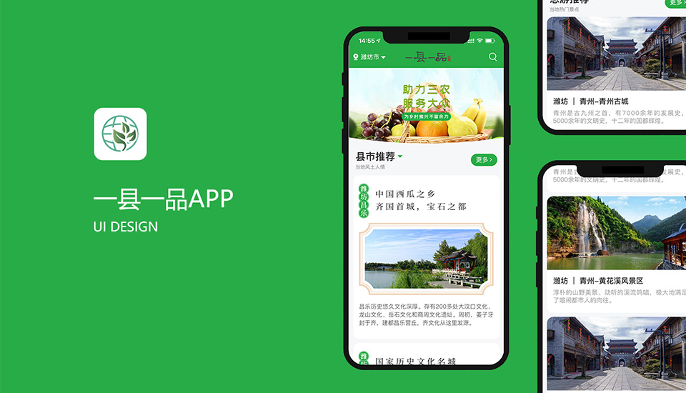 一县一品工程APP+小程序开发